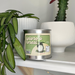 Totoro's Forest Candle